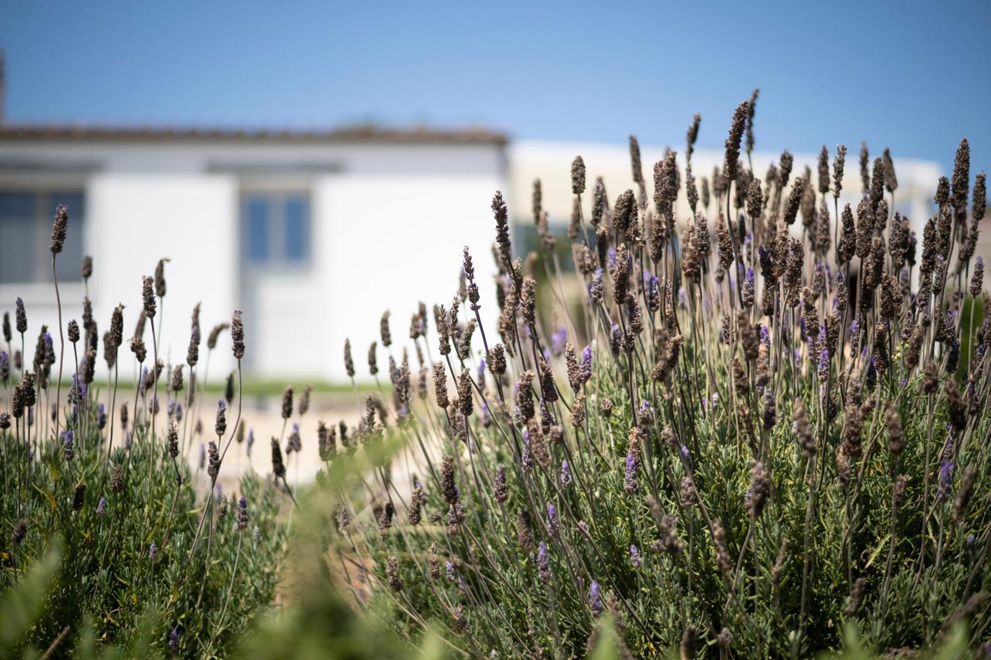 Casa Di Minnanni B&B Santa Teresa di Gallura Esterno foto
